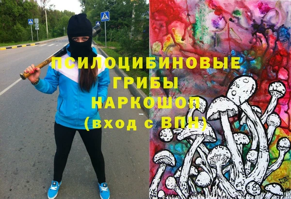 гидропоника Зеленокумск
