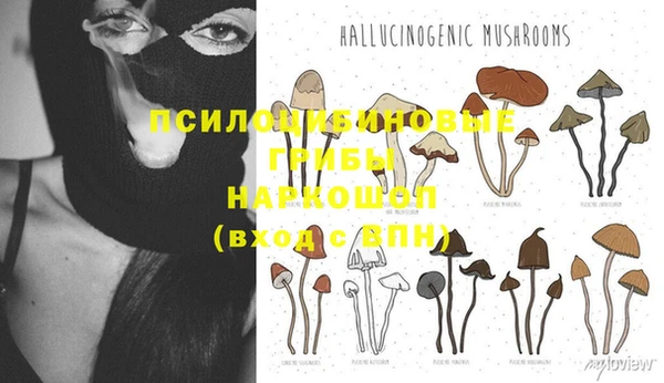 амфетамин Зерноград
